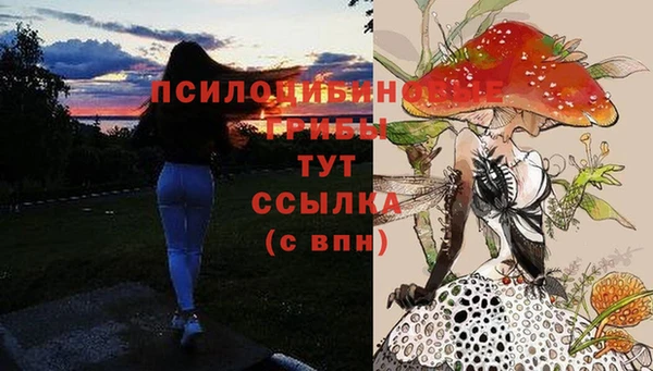 гашик Белокуриха