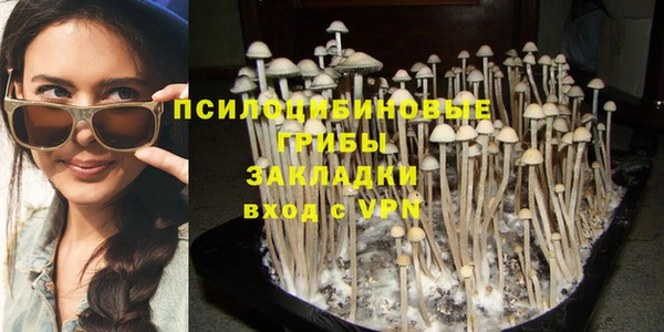 ALPHA-PVP Богородск
